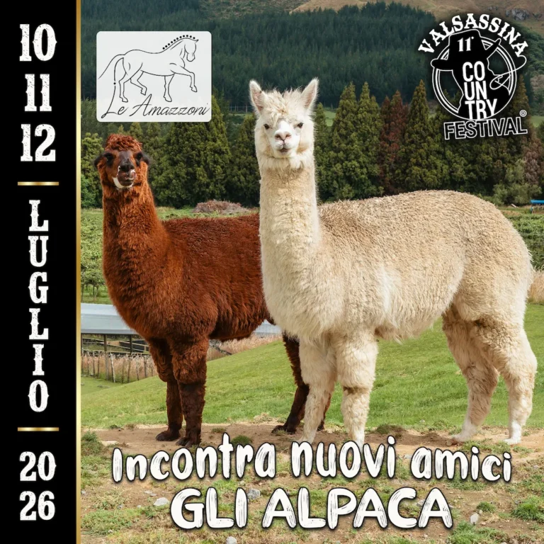 2026_Post Alpaca