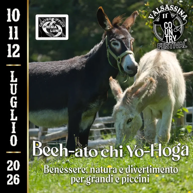2026_Post Beh hato chi yoga