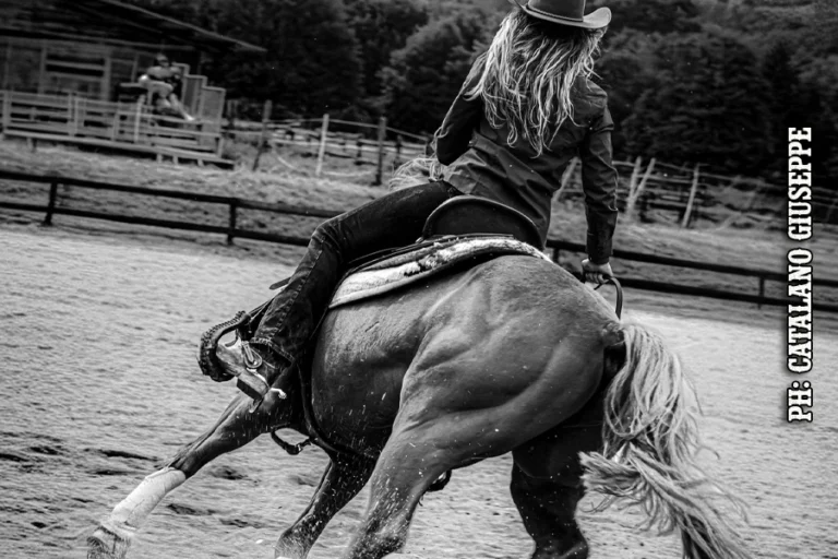 Spettacolo equestre 1