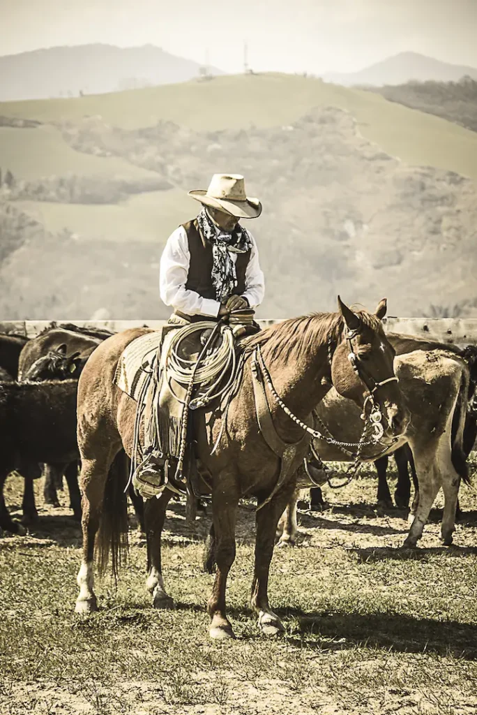 Ranch Academy 1