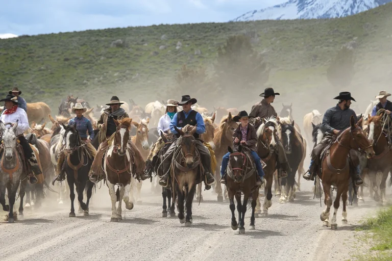 Ranch Academy 2